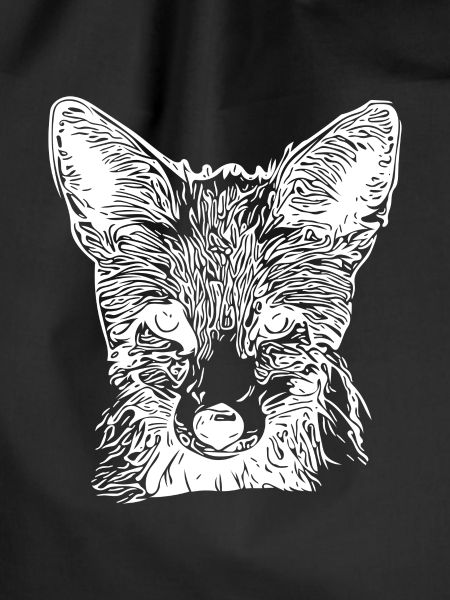 Cute Young Fox Drawing