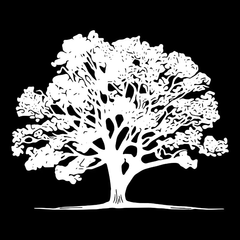 Schöner Baum auf dem Feld im Horizont