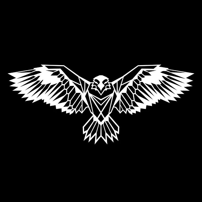 Minimalistic - Raven