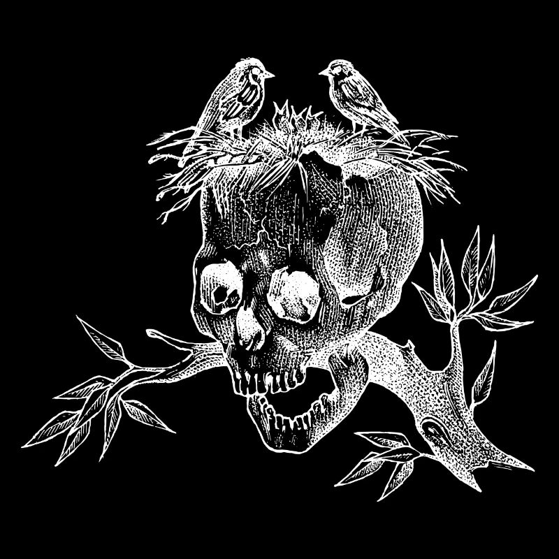 Bird's Nest on Skull