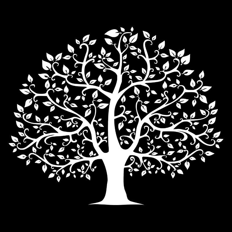 Baum