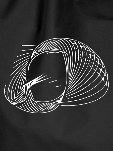 Geometric circle lines