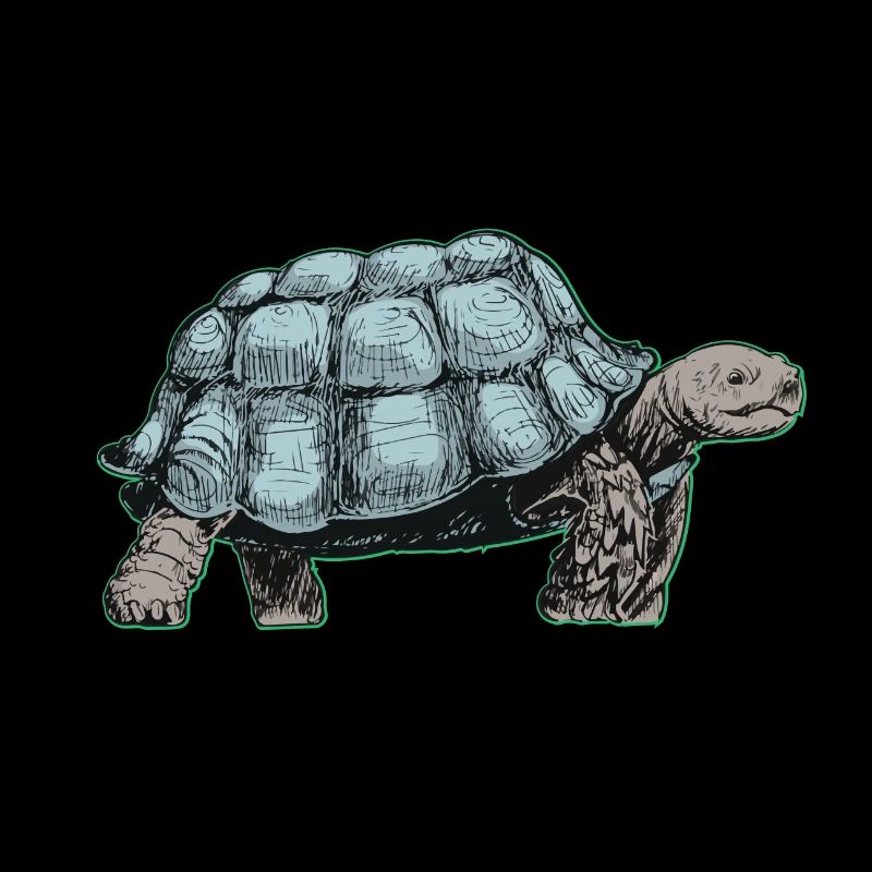 Schildkröte