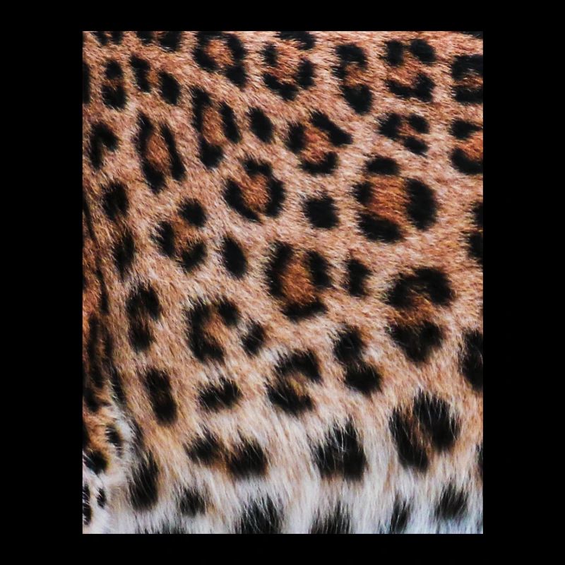 Leopard Fell