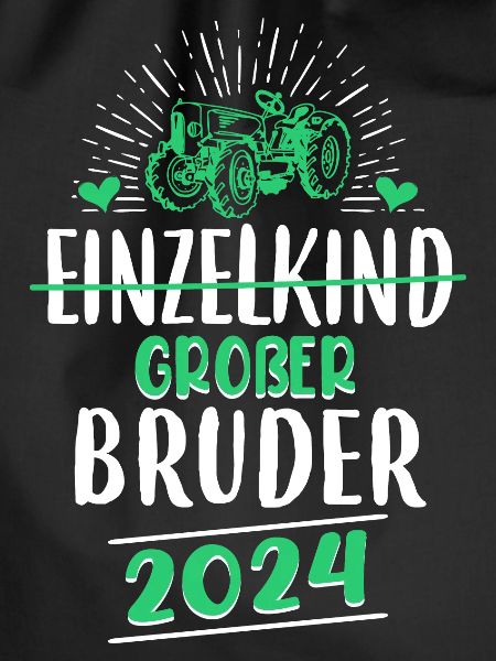 Big Brother 2024
