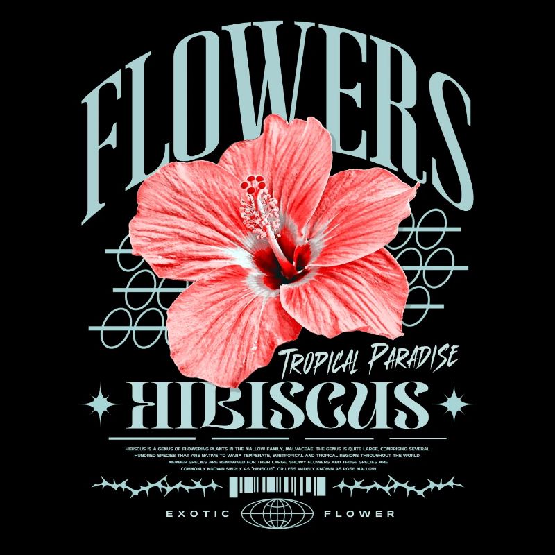 Fleur d’hibiscus Fleur d’hibiscus
