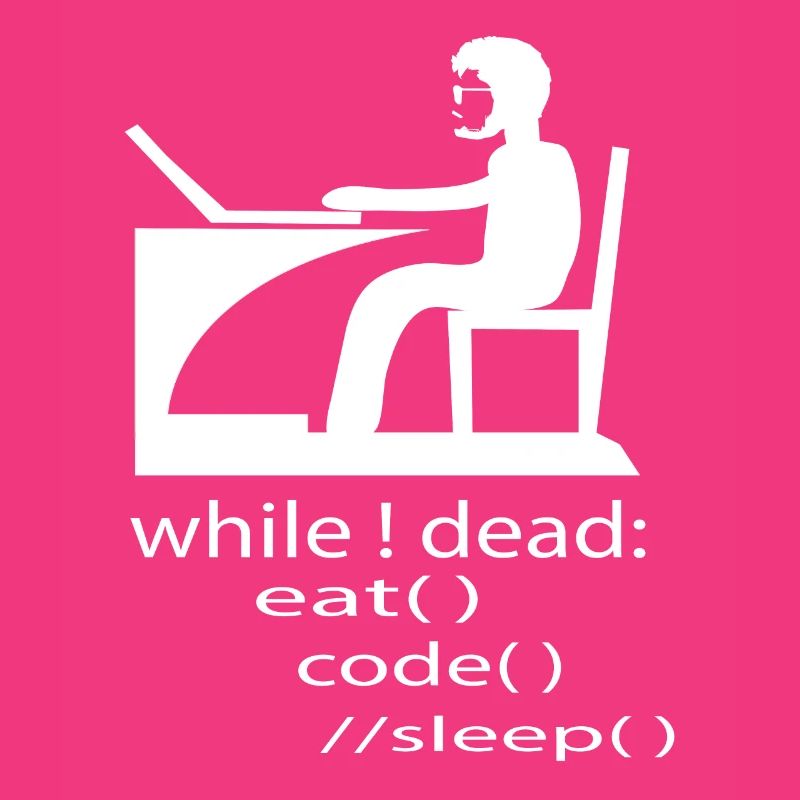 Software Developer Programmer Gift