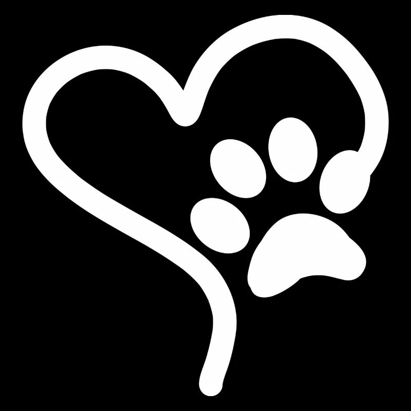 chien mignon chats empreinte animale chiens chat chien