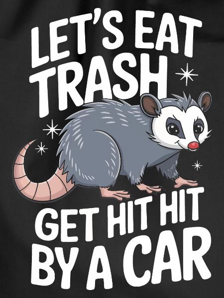 Opossum Possum Animal