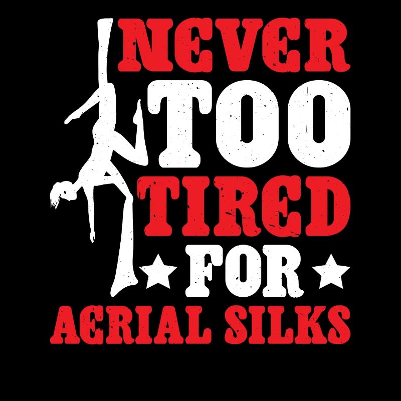 Never Too Tired For Aerial Silks 2