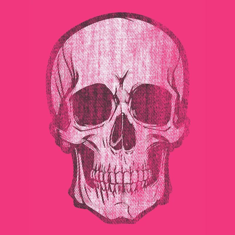 Skull Bone Skull Head Pirate