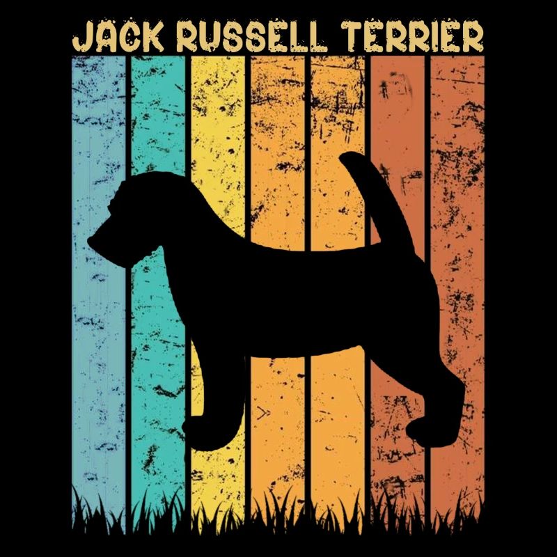 Jack Russell Terrier