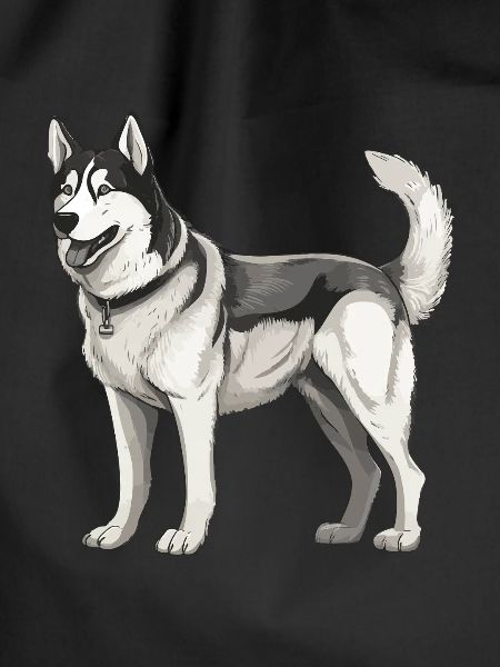 Husky Dog