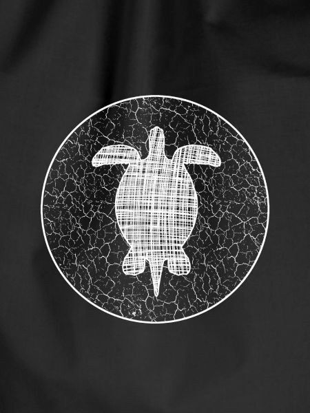 Turtle Schildkröte