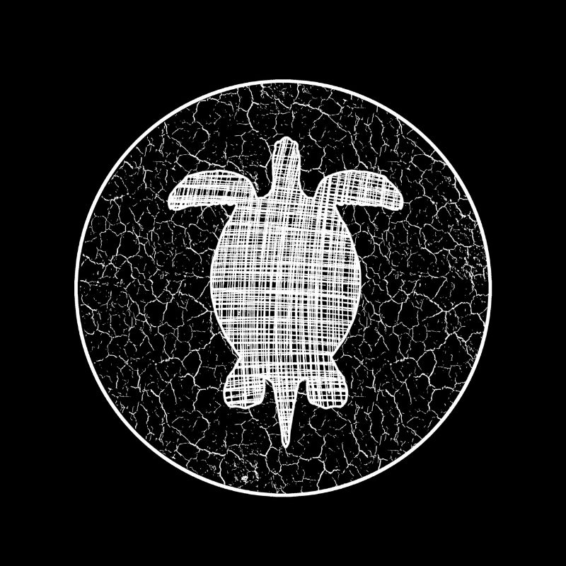 Turtle Schildkröte