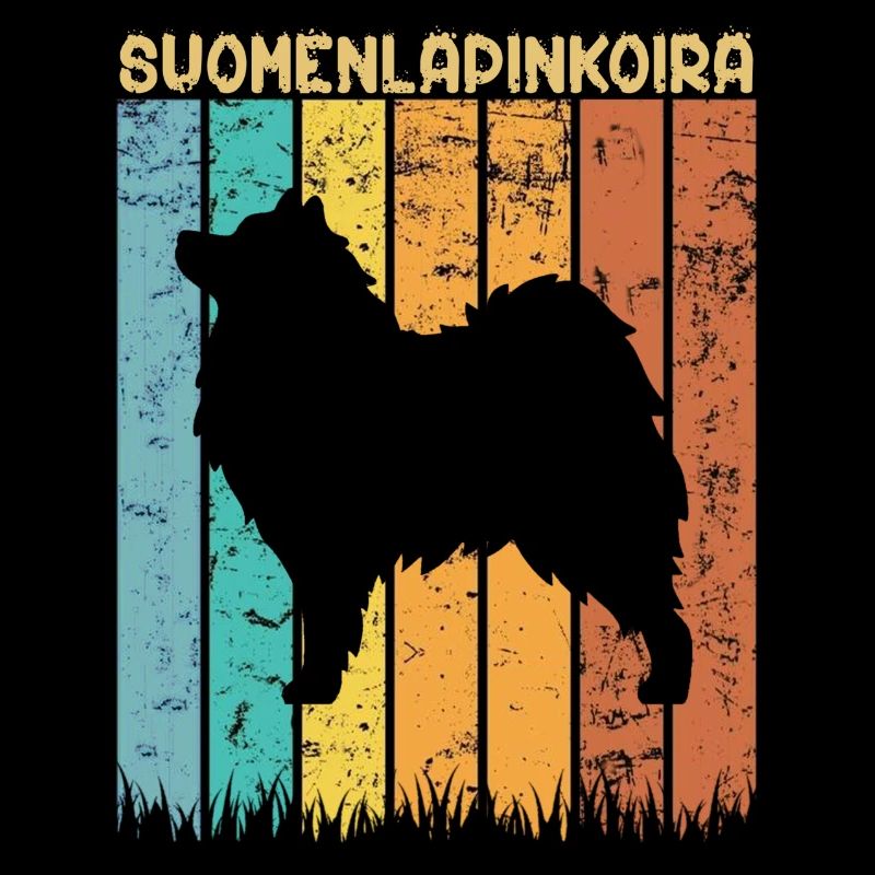 Finnischer Lapplandhund