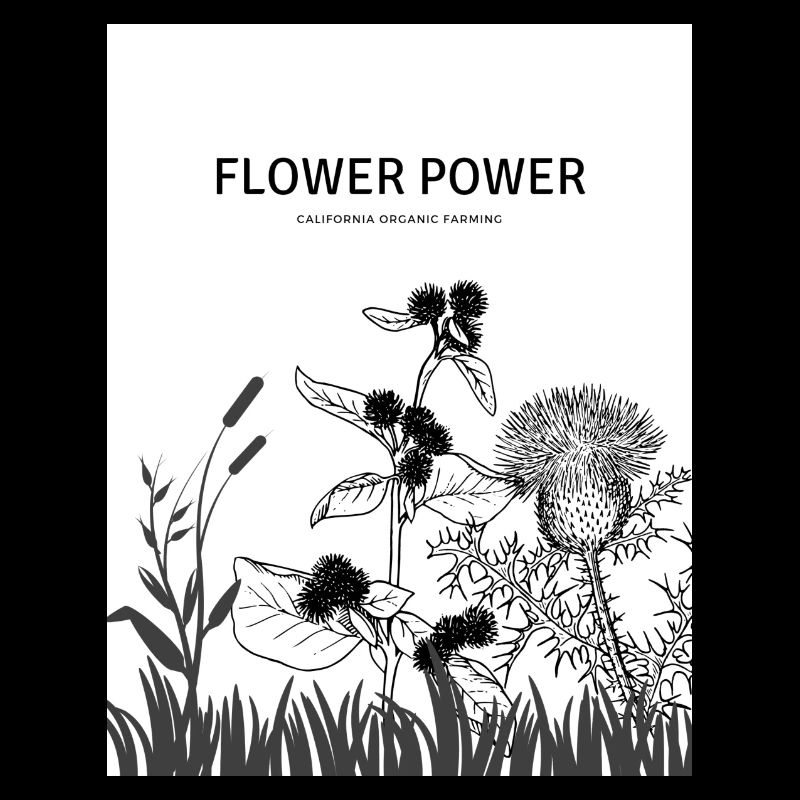 FLOWER POWER