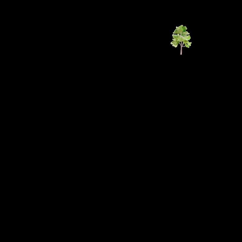 Green tree: pure nature