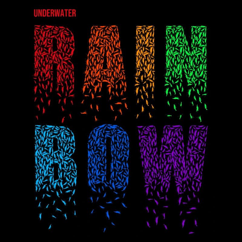 Shrimps - Rainbow