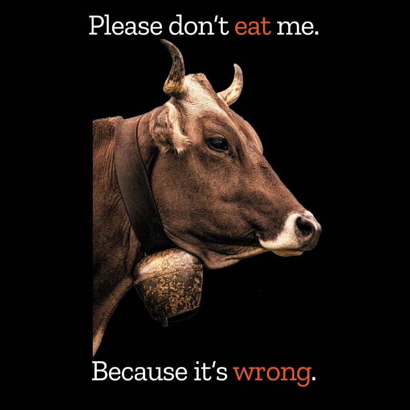 Kuh pro vegan