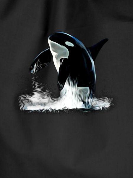 Orca
