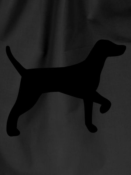 Hunting dog