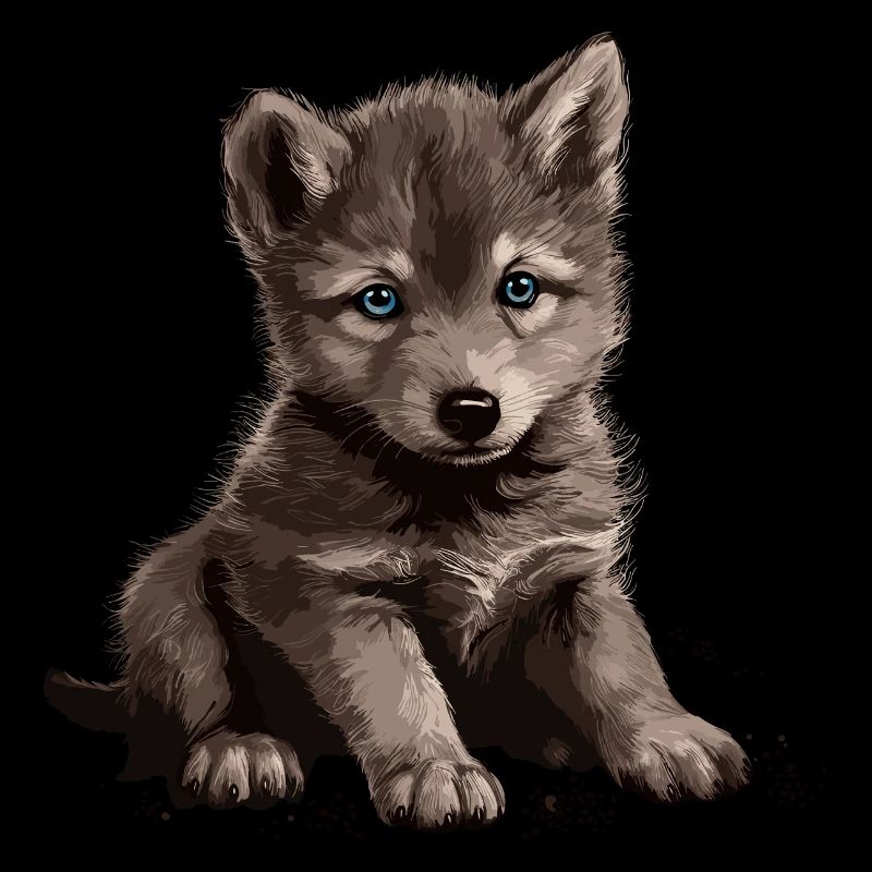 Wolf Scratch Marks Claws Wild Forest Animal Baby Wolf