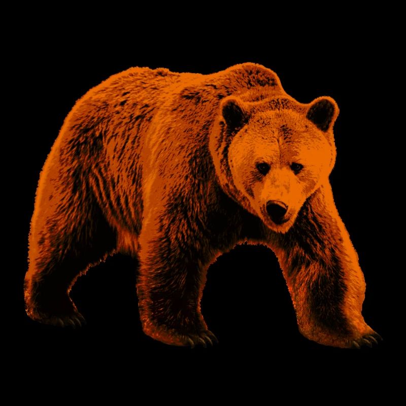 Bear, Wild Bear