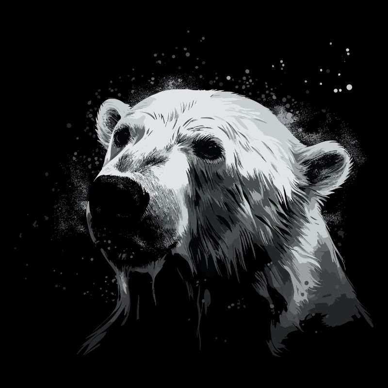 Polar Bear Polar Bear Bear