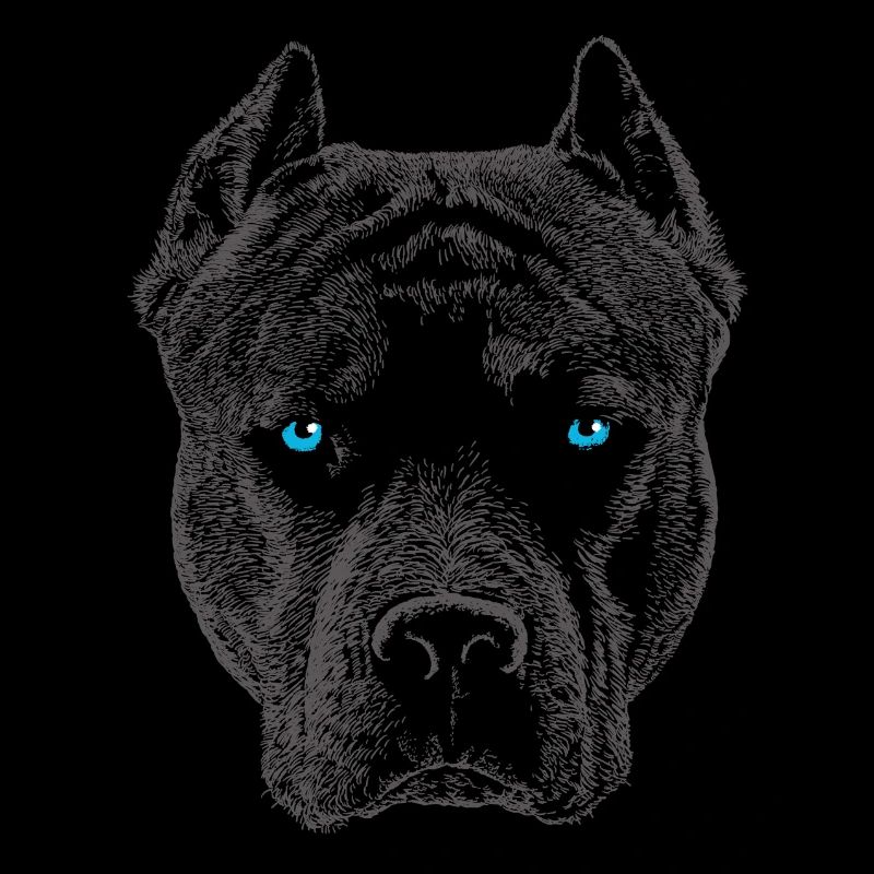 Pit bull 12 2018 3