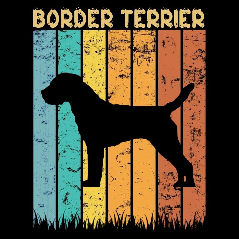 Border terrier