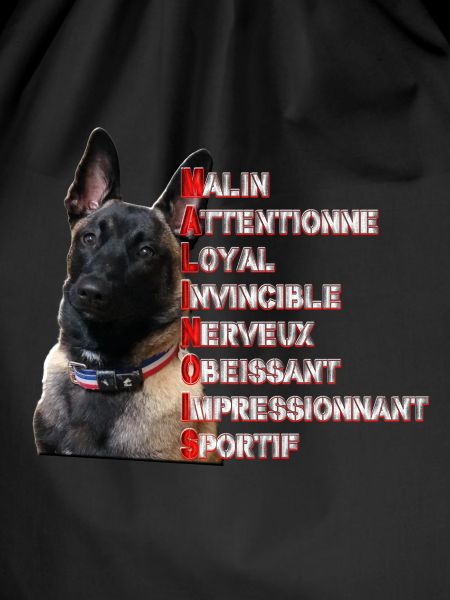 malinois