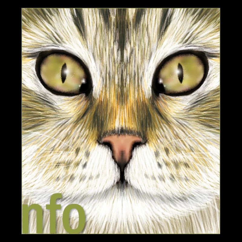 Norwegian Forest Cat