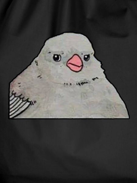 Annoyed Bird Memes
