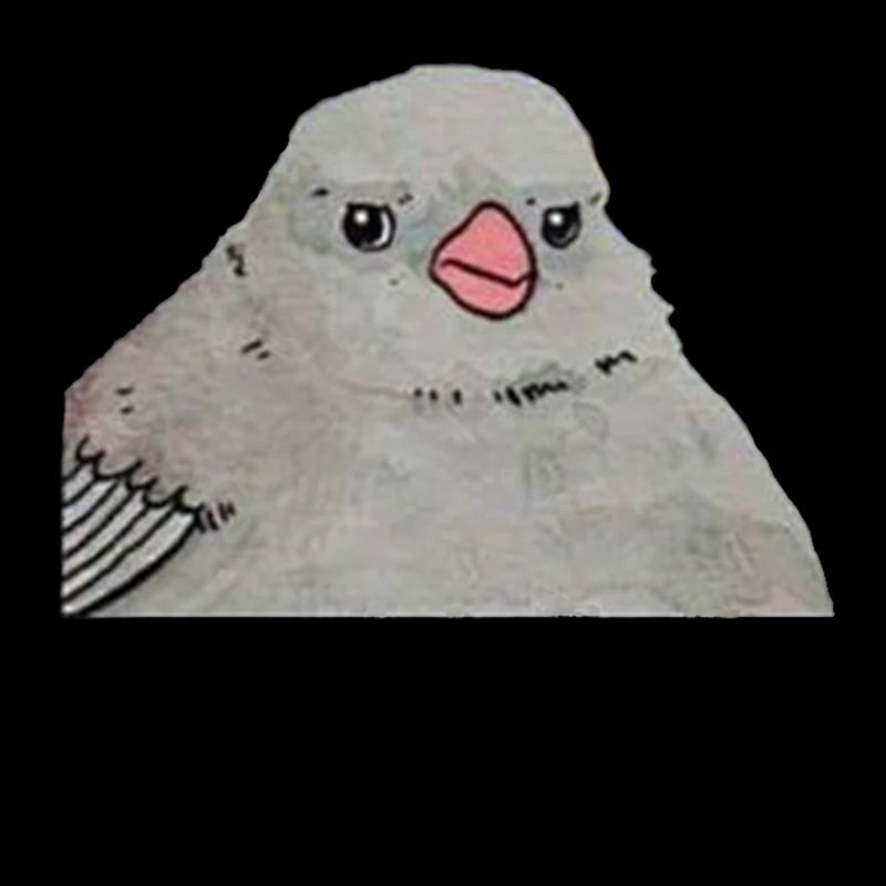 Annoyed Bird Memes