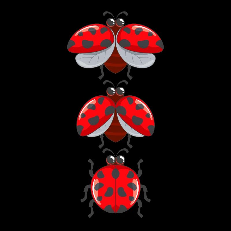 Cute ladybug insects with wings