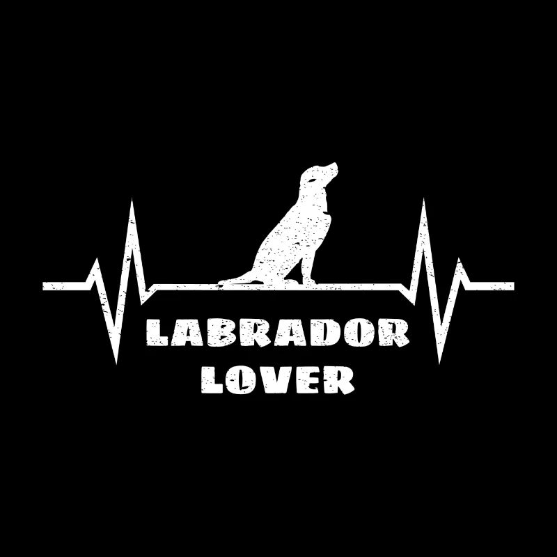 Labrador EKG