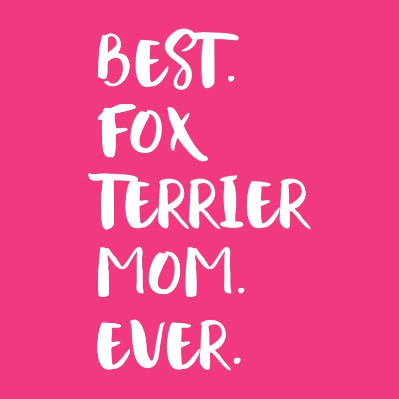 Foxterrier Fox Terrier