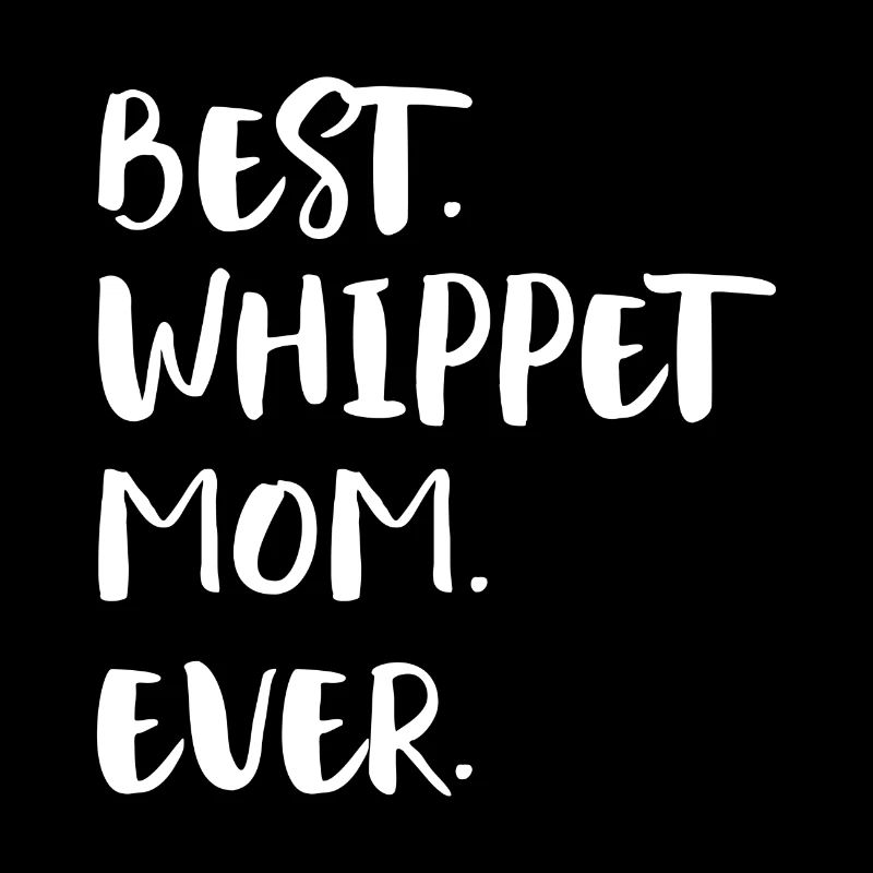 Whippet