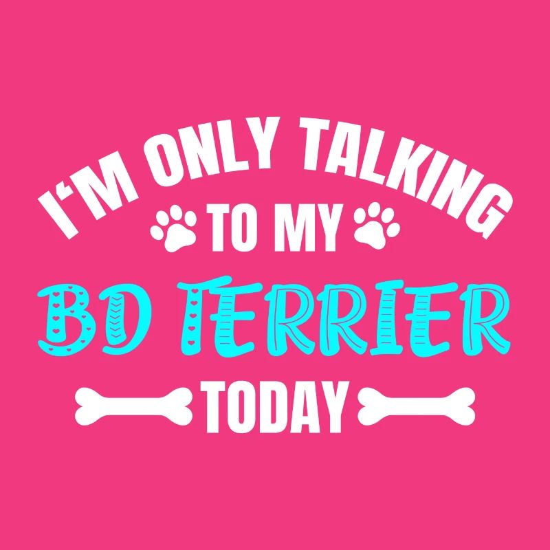 BD Terrier