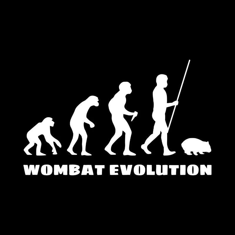 Évolution du wombat