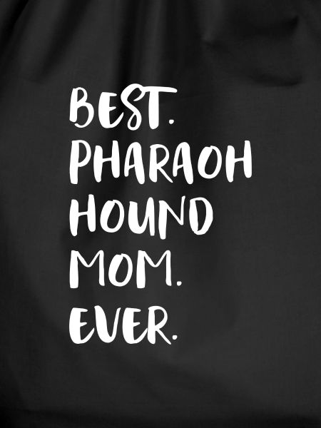 Pharaoh Hound Pharaonenhund
