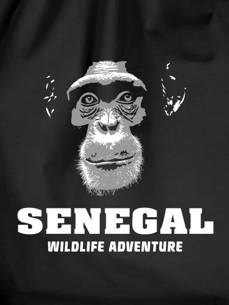 Senegal - Chimpanzees