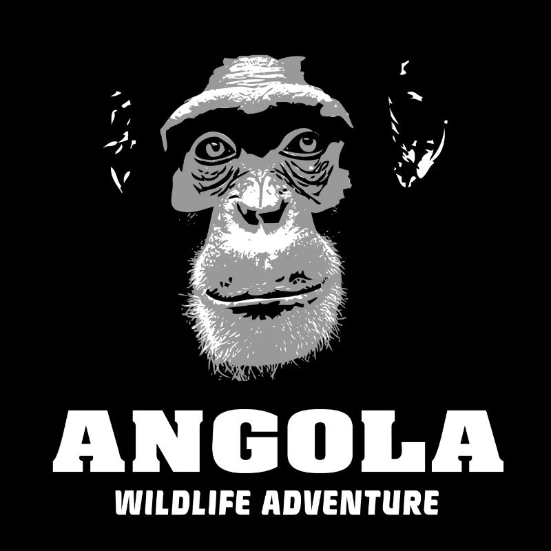 Angola - Chimpanzees