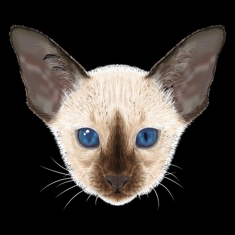 Siamkatze 