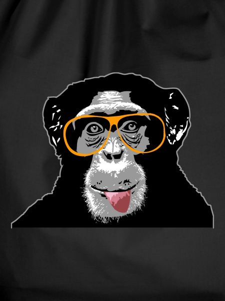 Chimpanzee - monkey