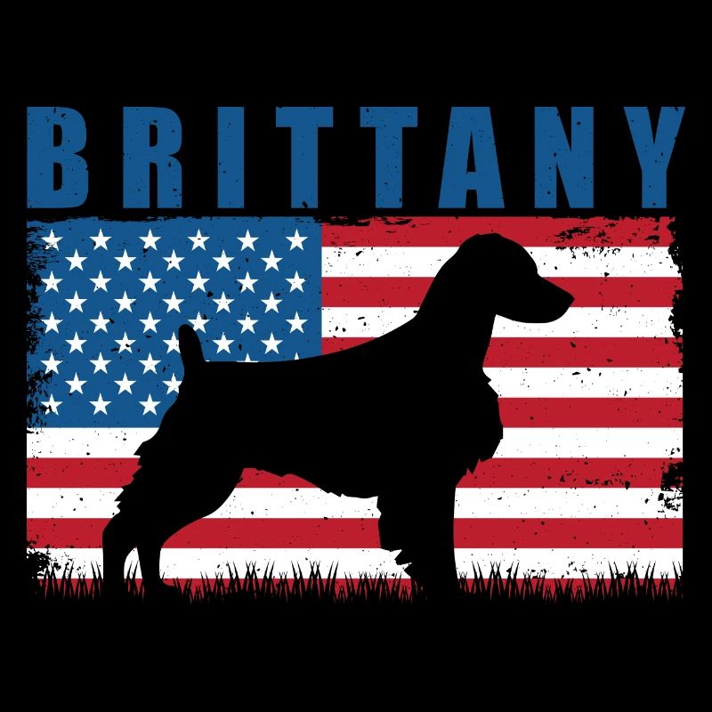 Brittany Spaniel Epagneul Breton Dog