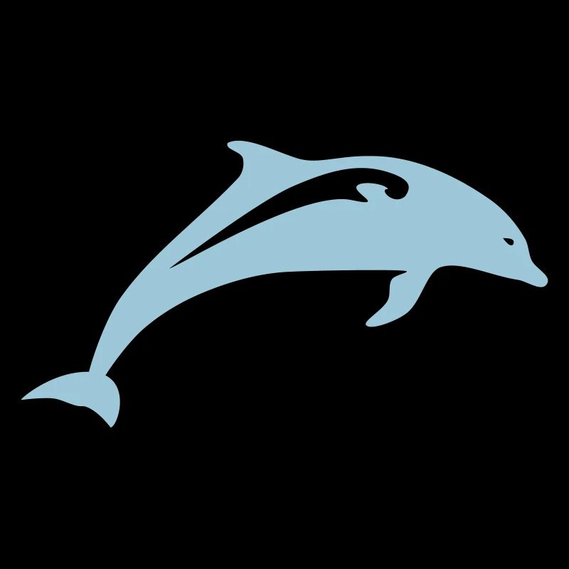 Dolphin Animal Sea