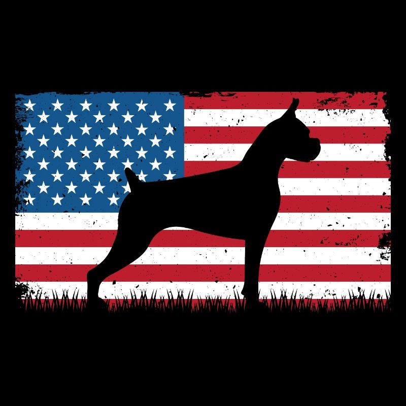 Boxer Hund