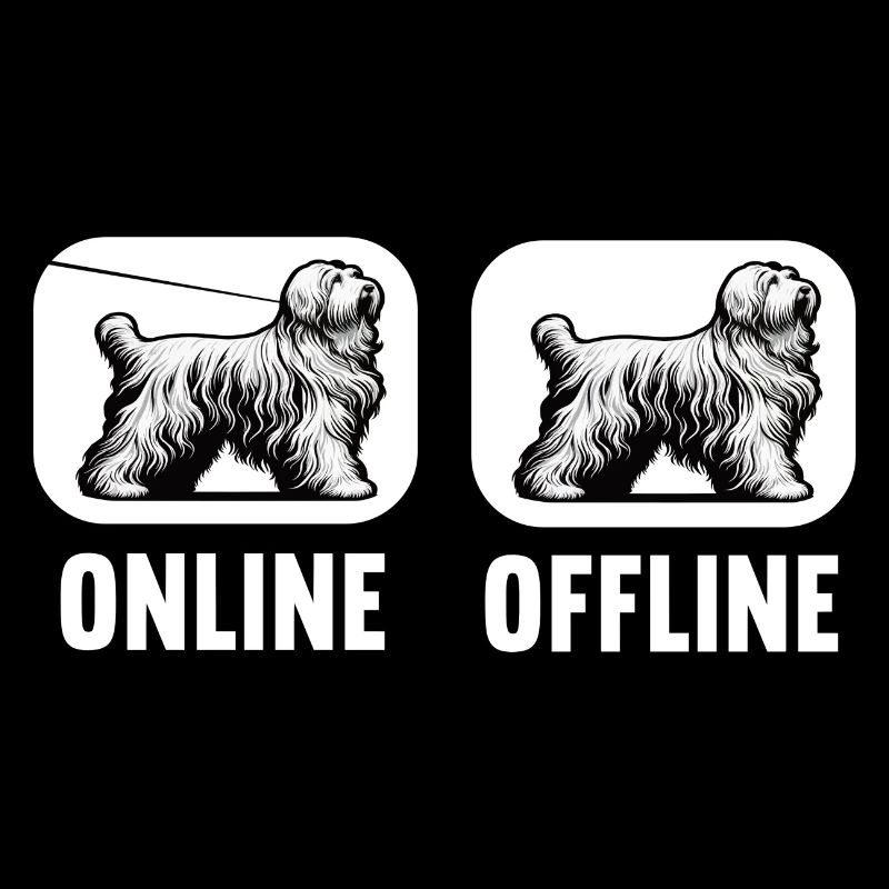 Online Offline Bearded Collie Bearded Collie Hund